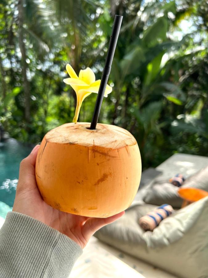 Nirankara Ubud Villa Екстериор снимка